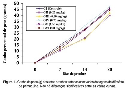 Chronic effects of primaquine diphosphate on pregnant rats