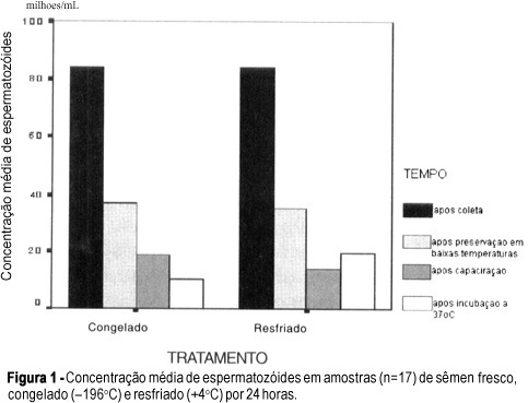 Comparison between the characteristics of human semen preserved at +4ºC and -196ºC for 24 hours