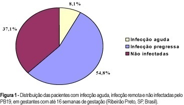 Longitudinal evaluation of parvovirus B19 infection among pregnant women at Ribeirão Preto, SP, Brazil