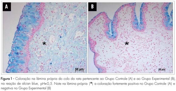 Histochemical changes of the glycosaminoglycans in the uterine cervix of pregnant rats after local injection of hyaluronidase