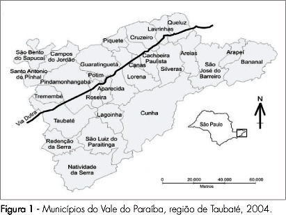 Geoprocessing to identify the pattern of birth profile in Vale do Paraíba