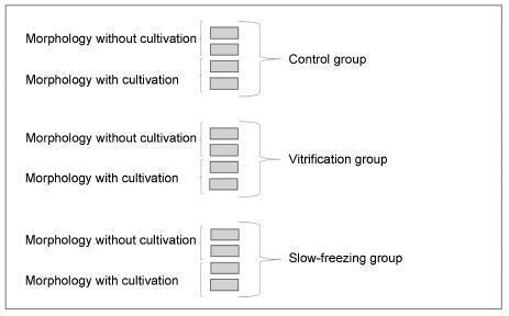 Comparison between Slow Freezing and Vitrification in Terms of Ovarian Tissue Viability in a Bovine Model