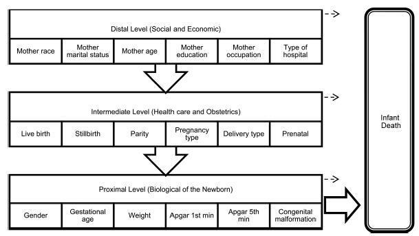 Factors Associated with Infant Mortality in a Northeastern Brazilian Capital