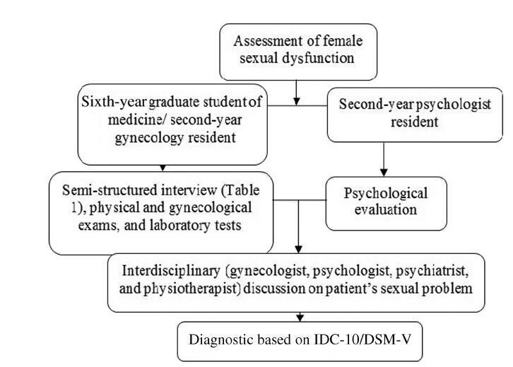 A Model for the Management of Female Sexual Dysfunctions
