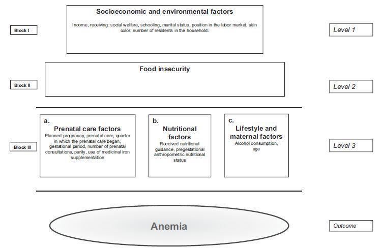 Food Insecurity, Prenatal Care and Other Anemia Determinants in Pregnant Women from the NISAMI Cohort, Brazil: Hierarchical Model Concept