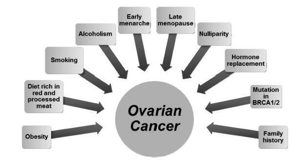 Is Ovarian Cancer Prevention Currently Still a recommendation of Our Grandparents?