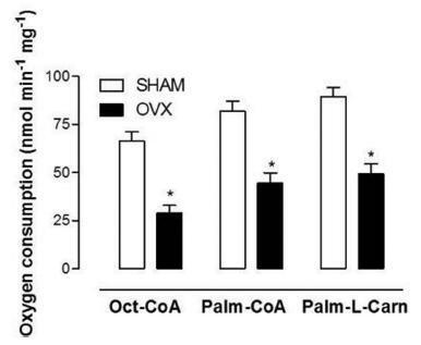 A Long-term Estrogen Deficiency in Ovariectomized Mice is Associated with Disturbances in Fatty Acid Oxidation and Oxidative Stress