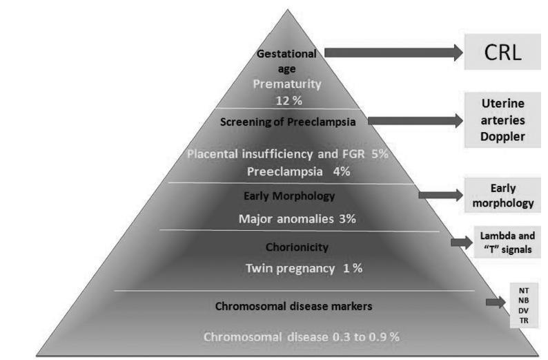 First Trimester Scan: “Pyramid of Priorities” of the Brazilian Reality