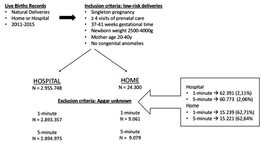 Apgar Scoring System in Brazil’s Live Births Records: Differences between Home and Hospital Births