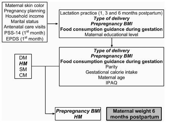 Maternal Weight Variation in Different Intrauterine Environments: An Important Role of Hypertension