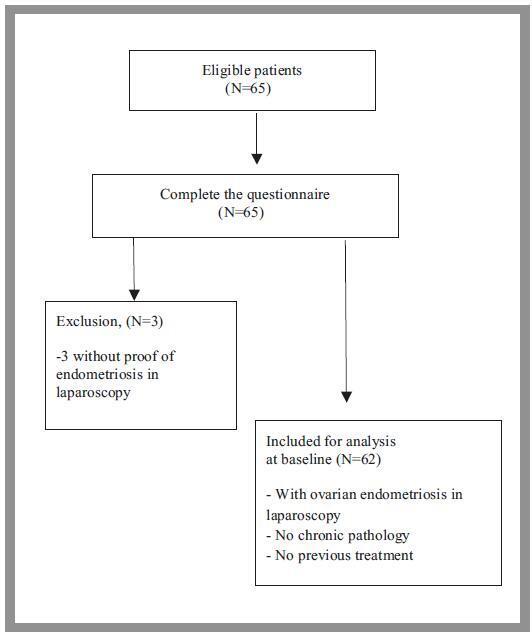 Quality of Life Assessment by the Endometriosis Health Profile (EHP-30) Questionnaire Prior to Treatment for Ovarian Endometriosis in Brazilian Women