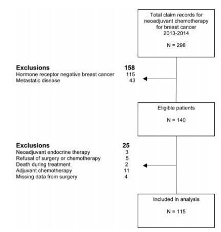 Association of Menopausal Status, Expression of Progesterone Receptor and Ki67 to the Clinical Response to Neoadjuvant Chemotherapy in Luminal Breast Cancer