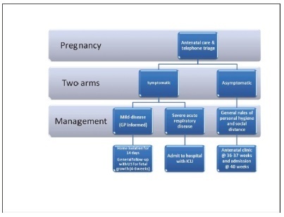 Covid-19 and Pregnancy: An Overview