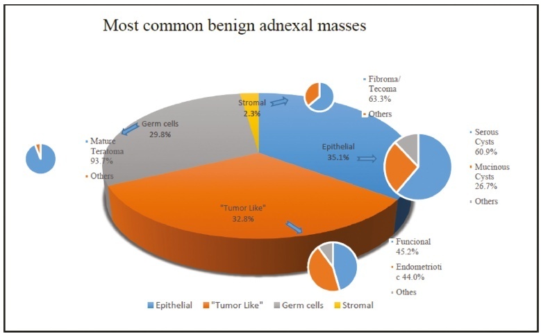 Practical Recommendations for the Management of Benign Adnexal Masses