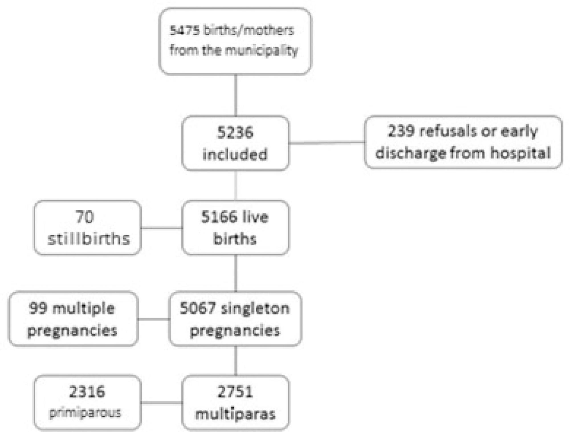 Factors Associated with Inadequate Birth Intervals in the BRISA Birth Cohort, Brazil