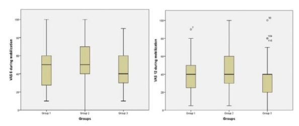 Effect of Closure of Anterior Abdominal Wall Layers on Early Postoperative Findings at Cesarean Section: A Prospective Cross-sectional Study