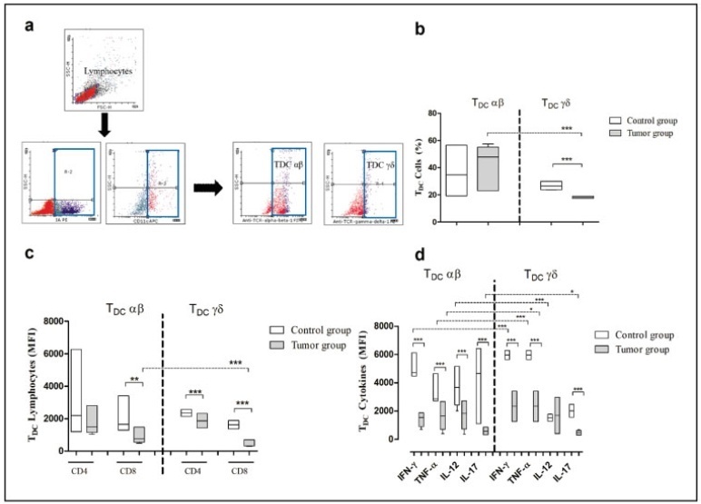 Immunological Characteristics between αβ TDC and γδ TDC Cells in the Spleen of Breast Cancer-Induced Mice