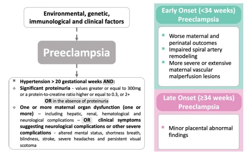 Placental Findings in Preterm and Term Preeclampsia: An Integrative Review of the Literature
