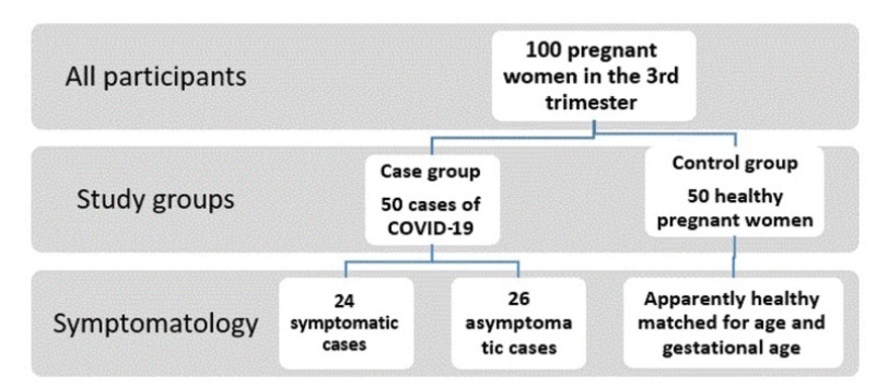 COVID-19 in Pregnancy: Implication on Platelets and Blood Indices