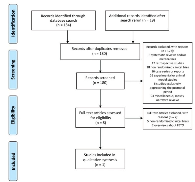 Perinatal Outcomes after Fetal Endoscopic Tracheal Occlusion for Isolated Congenital Diaphragmatic Hernia: Rapid Review