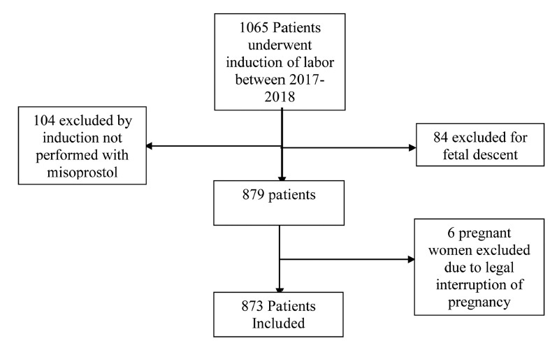 Analysis of Variables that Influence the Success Rates of Induction of Labor with Misoprostol: A Retrospective Observational Study