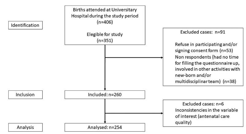 Adequacy of Antenatal Care during the COVID-19 Pandemic: Observational Study with Postpartum Women
