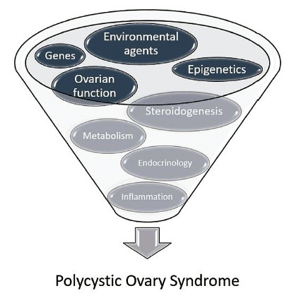 Polycystic Ovary Syndrome in Adolescence: Challenges in Diagnosis and Management