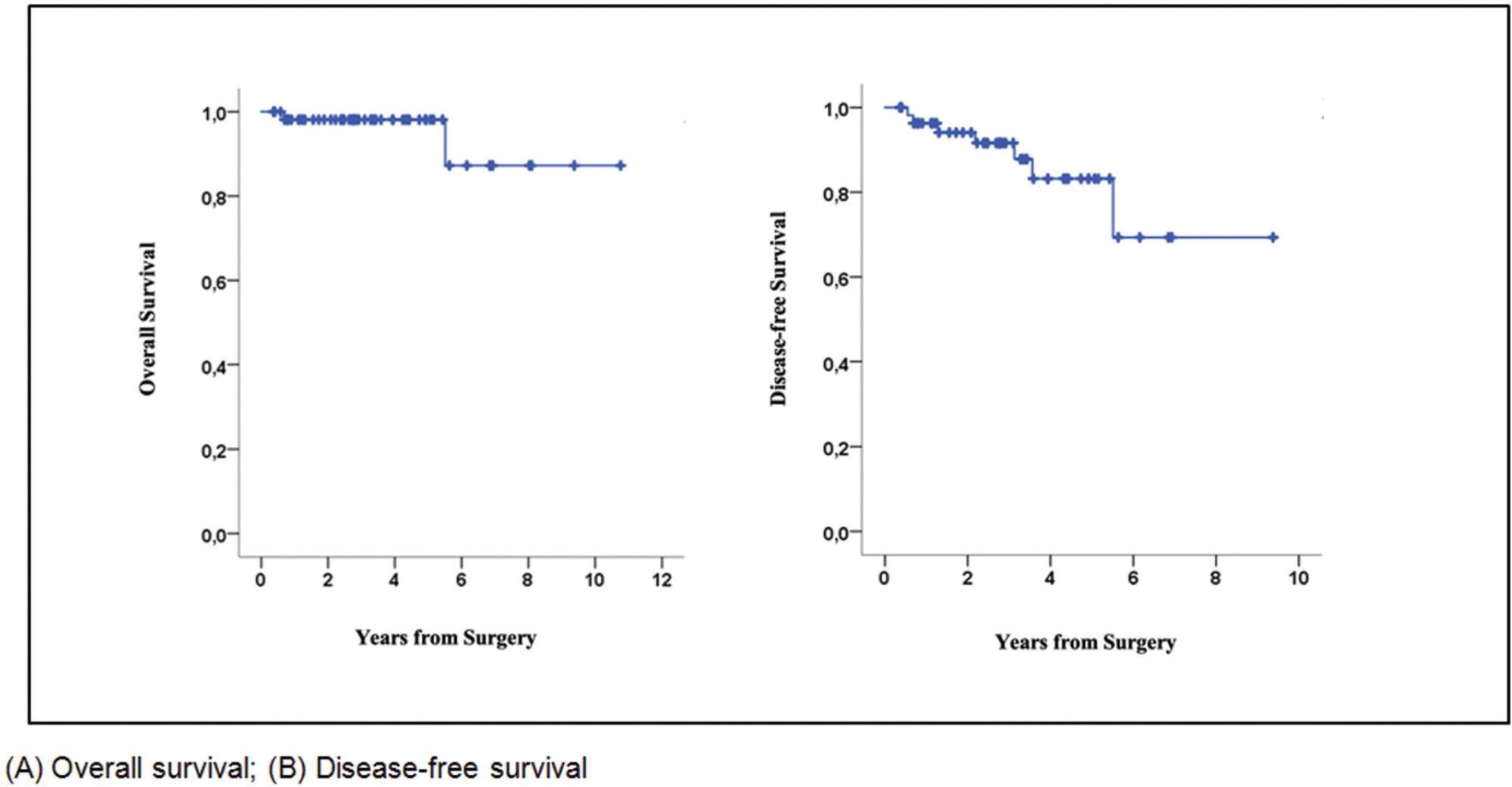 Oncological Outcomes of Nipple-Sparing Mastectomy in an Unselected Population Evaluated in a Single Center