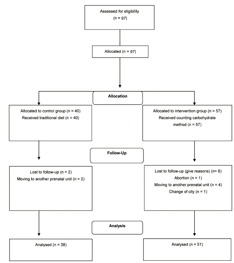 Impact of Carbohydrate Counting Method during Pregnancy in Women with Pregestational Diabetes Mellitus: A Controlled Clinical Trial
