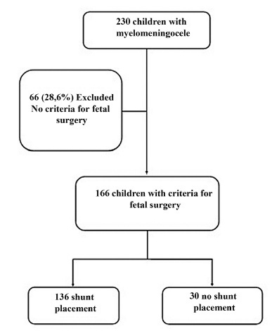 Historical Clinical Outcomes of Children with Myelomeningocele Meeting the Criteria for Fetal Surgery: A Retrospective Cohort Survey of Brazilian Patients