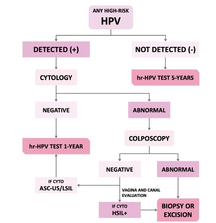 Cervical Cancer Screening with HPV Testing: Updates on the Recommendation