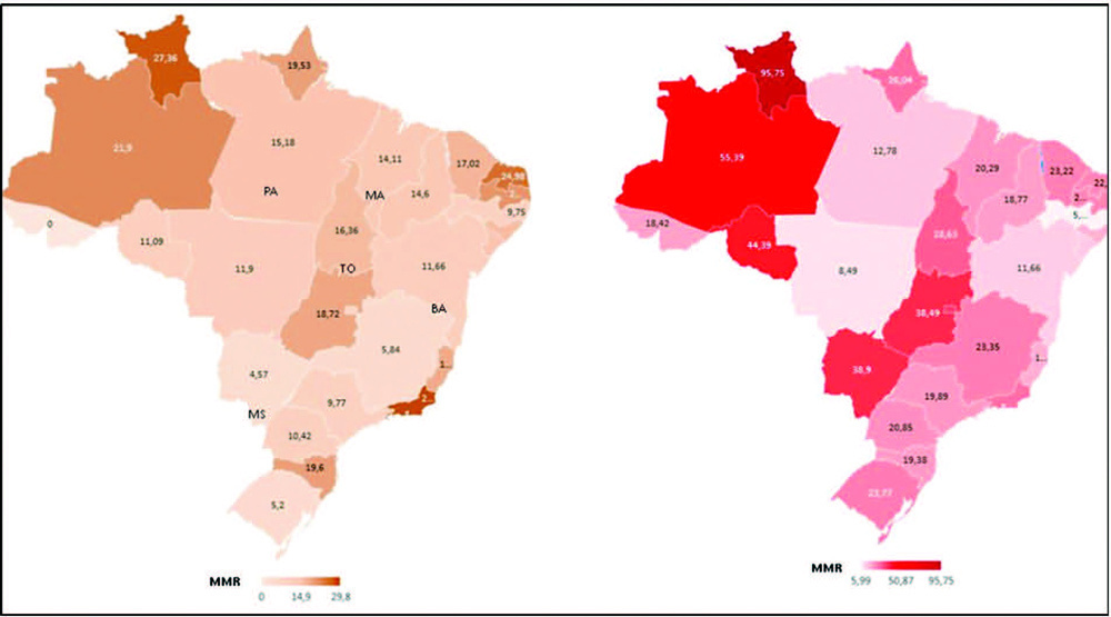 Maternal Deaths from COVID-19 in Brazil: Increase during the Second Wave of the Pandemic