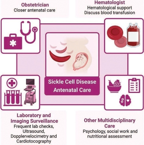 Main Complications during Pregnancy and Recommendations for Adequate Antenatal Care in Sickle Cell Disease: A Literature Review