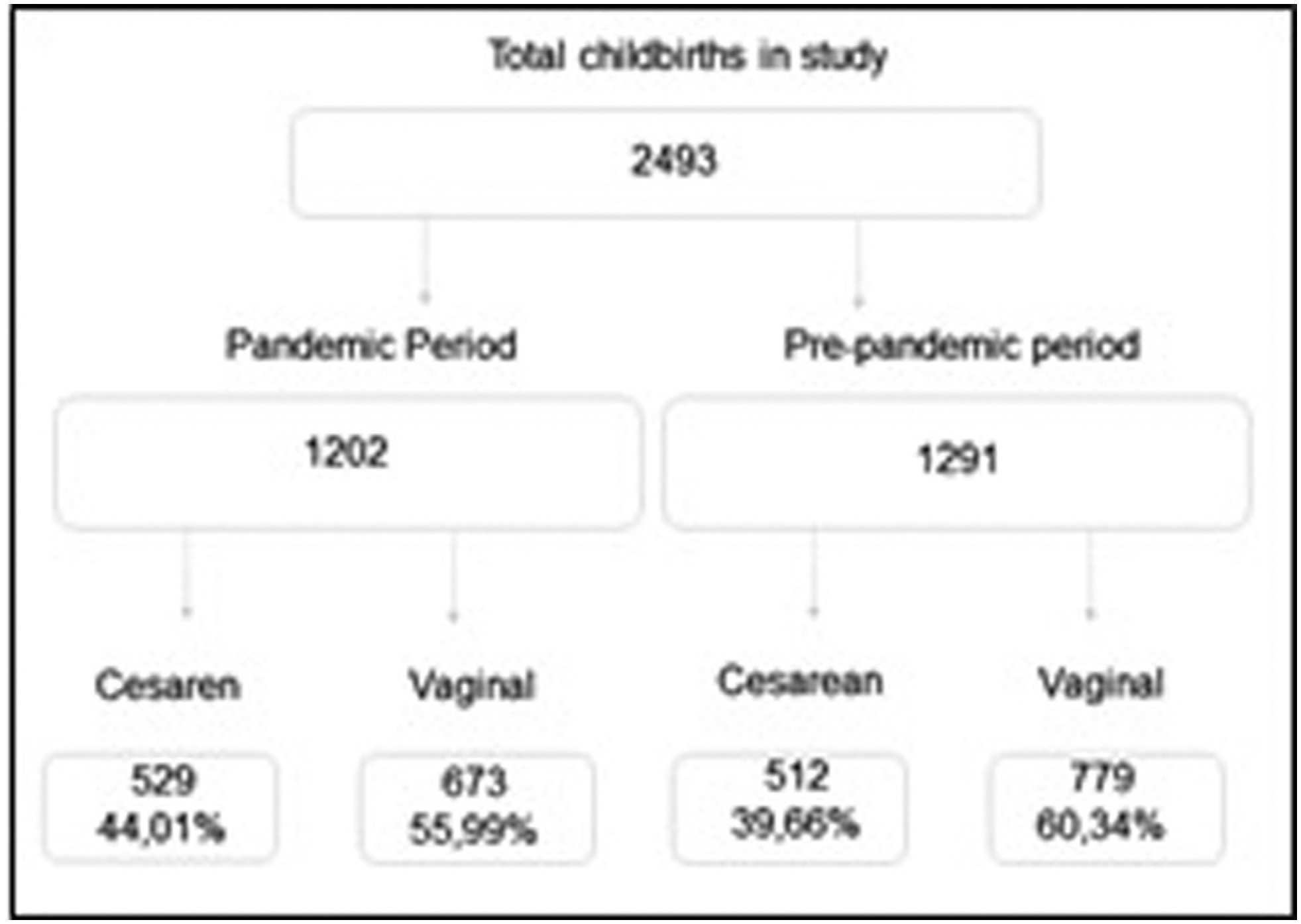 Increased Cesarean Section Rates during the COVID-19 Pandemic: Looking for Reasons through the Robson Ten Group Classification System