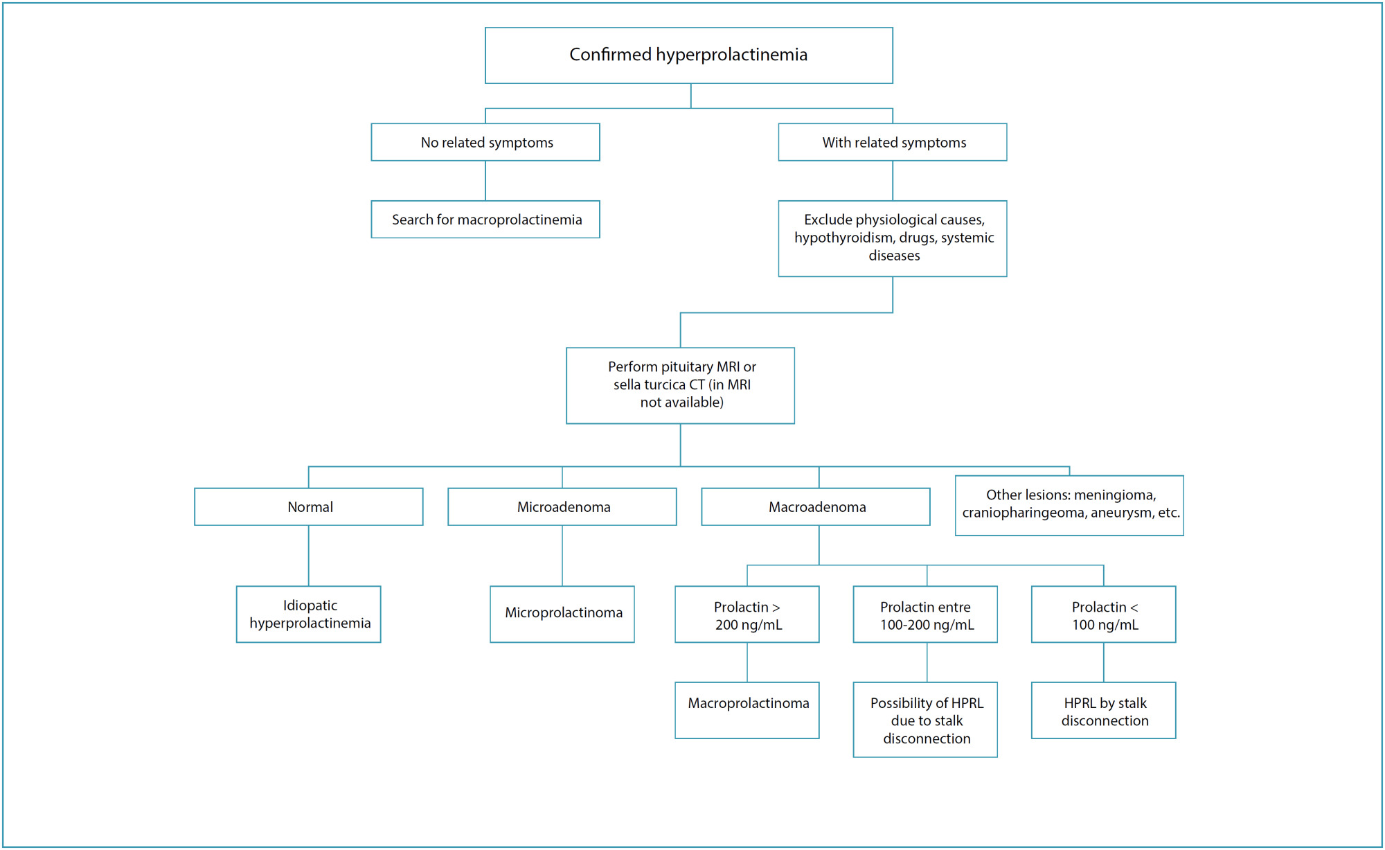 Hyperprolactinemia in women: diagnostic approach