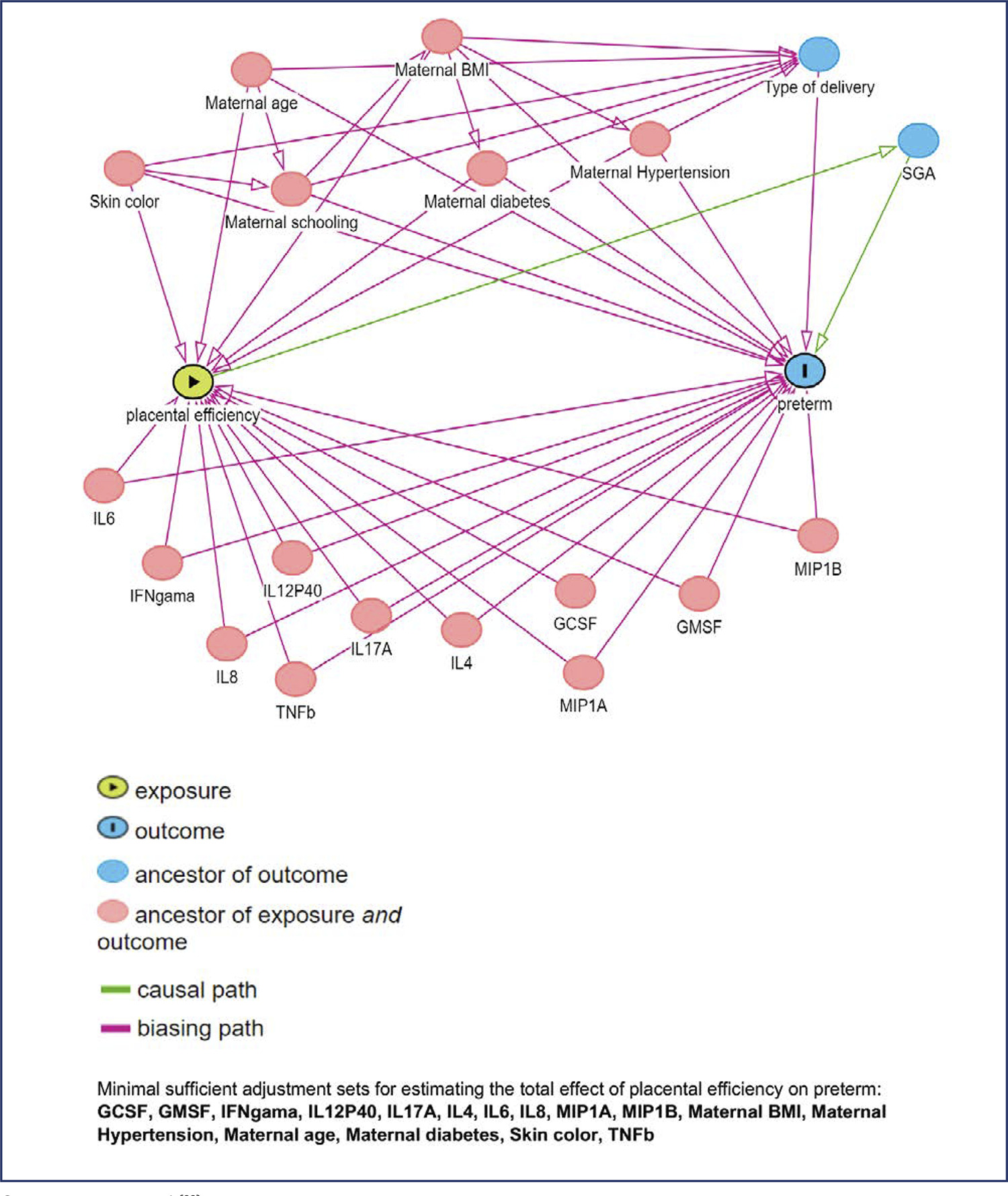 Mid-pregnancy circulating cytokine levels, placental efficiency and their relationship with preterm birth