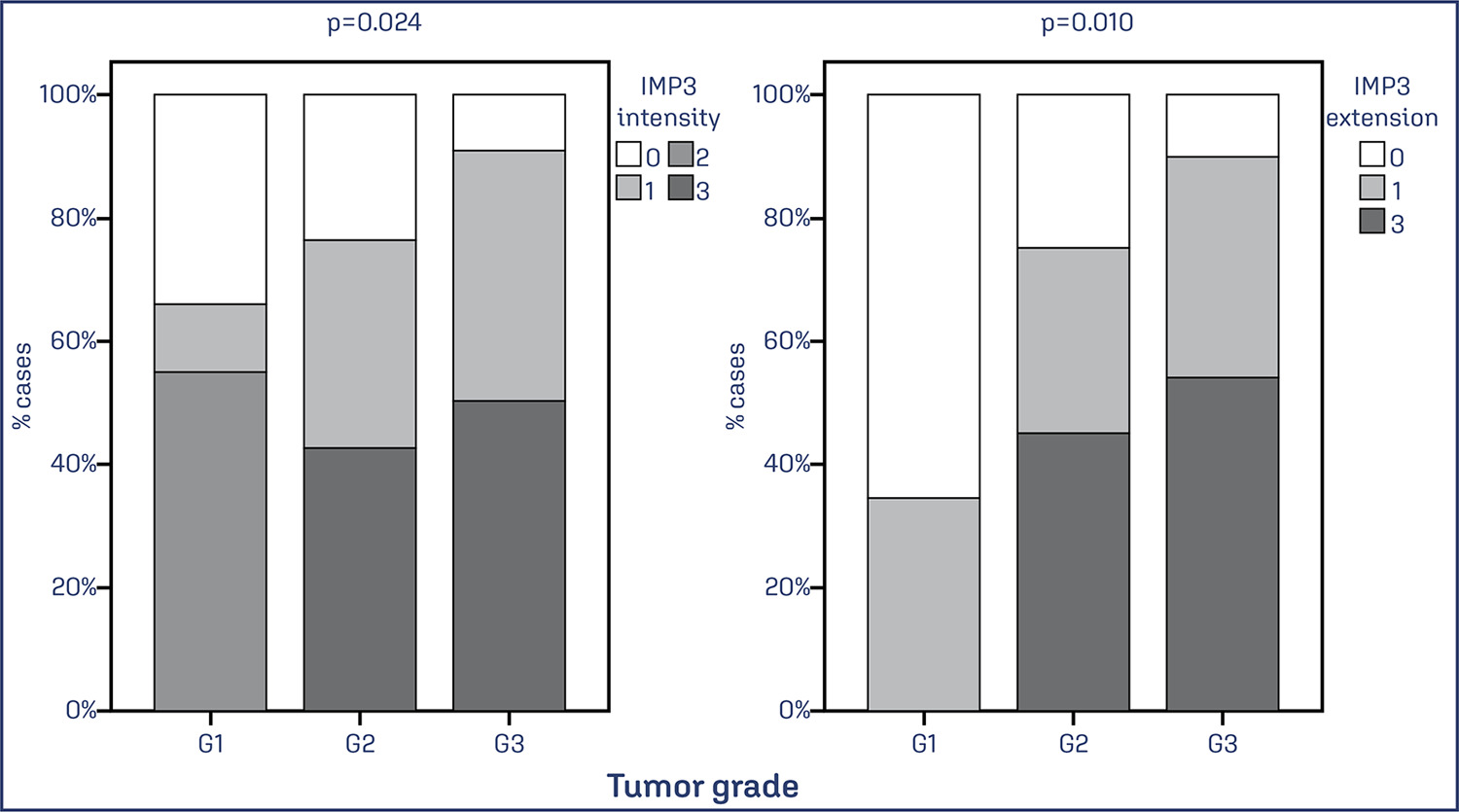 Association of insulin-like growth factor II mrna-binding protein 3 (IMP3) expression with prognostic and morphological factors in endometrial cancer