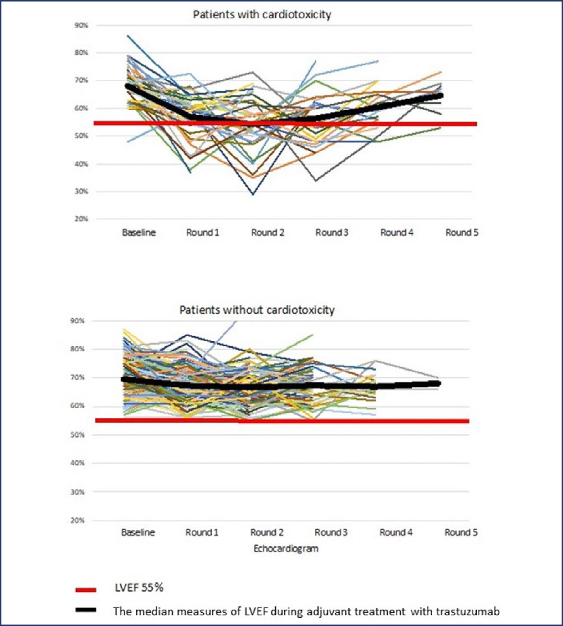 Prognosis and cardiotoxicity associated to adjuvant trastuzumab for breast cancer: real world study in a public health system